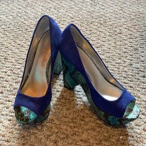 Calvin Klein Python look Electric Blue platforms